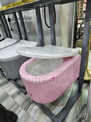 Pink Concealed Water Closet