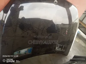 Bonnet for Ml 166 2014