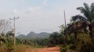5000acres of Farm Land at Oke Igbo/Oloruntele