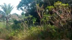 5000acres of Farm Land at Oke Igbo/Oloruntele