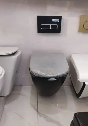 Quality Matt Conceal Wc