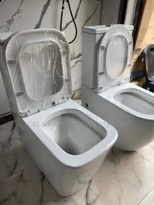 Executive W/C Toilet