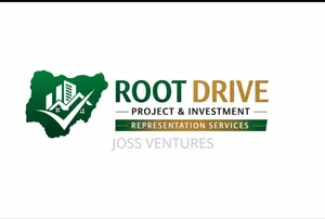 Project and Investment Representation