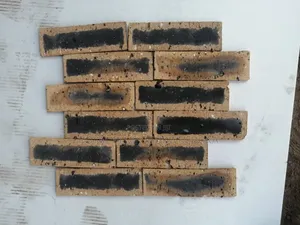 South Africa Bricks