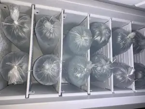 Success Ice Block