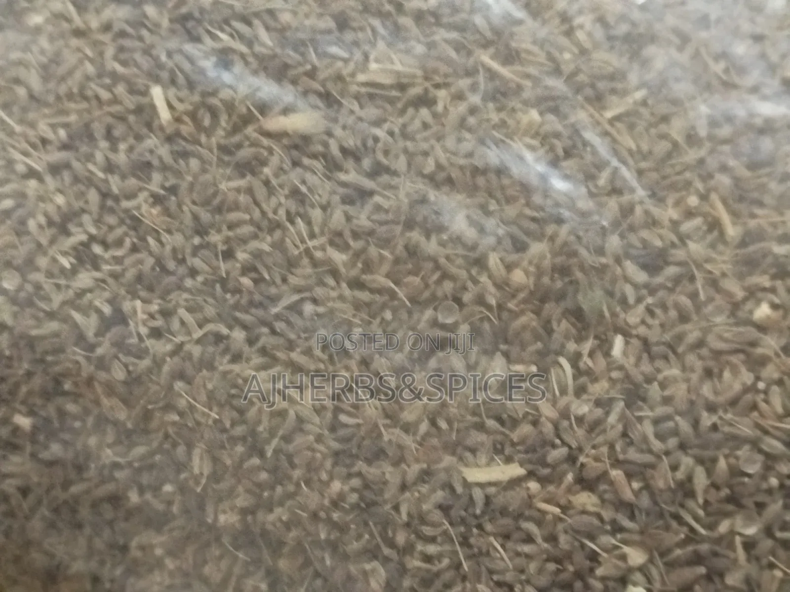Anise Seeds