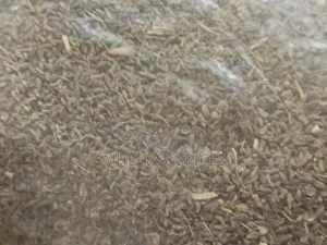 Anise Seeds