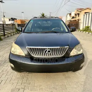 Lexus RX 330 2005 Gray