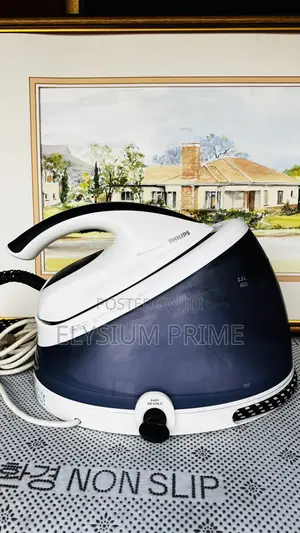 Philips Industrial Steam Iron