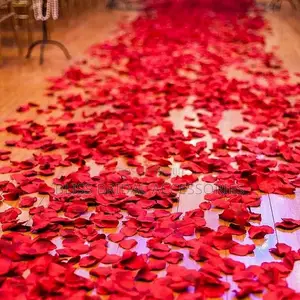 Rose Petals