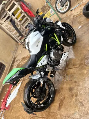 Kawasaki Z650 2018 White