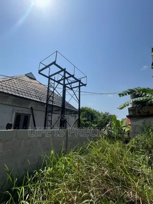 Scaffolding Medium