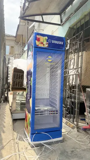 300liters Single Door Display Chiller