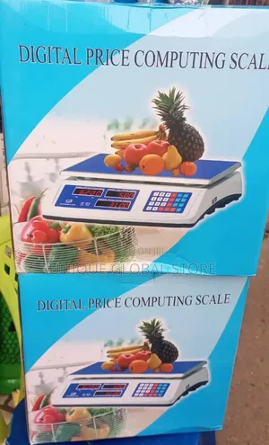 Gammry Digital Scale 50kg