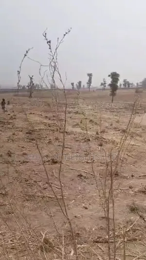 Large Expanse of Land Agricultural