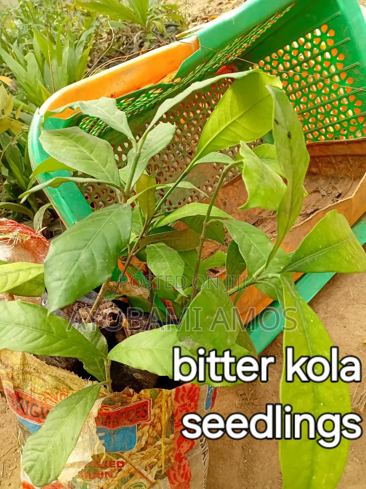 Agric Pilla
