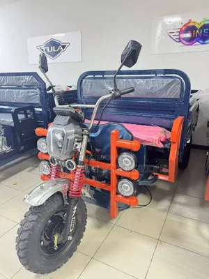 New Tricycle 2025 Blue