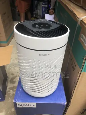 Maxi Air Purifier