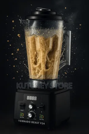 Raylux Tornado Beast V24 8litres Heavy Duty Commercial Blender