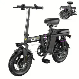 Electric Bike