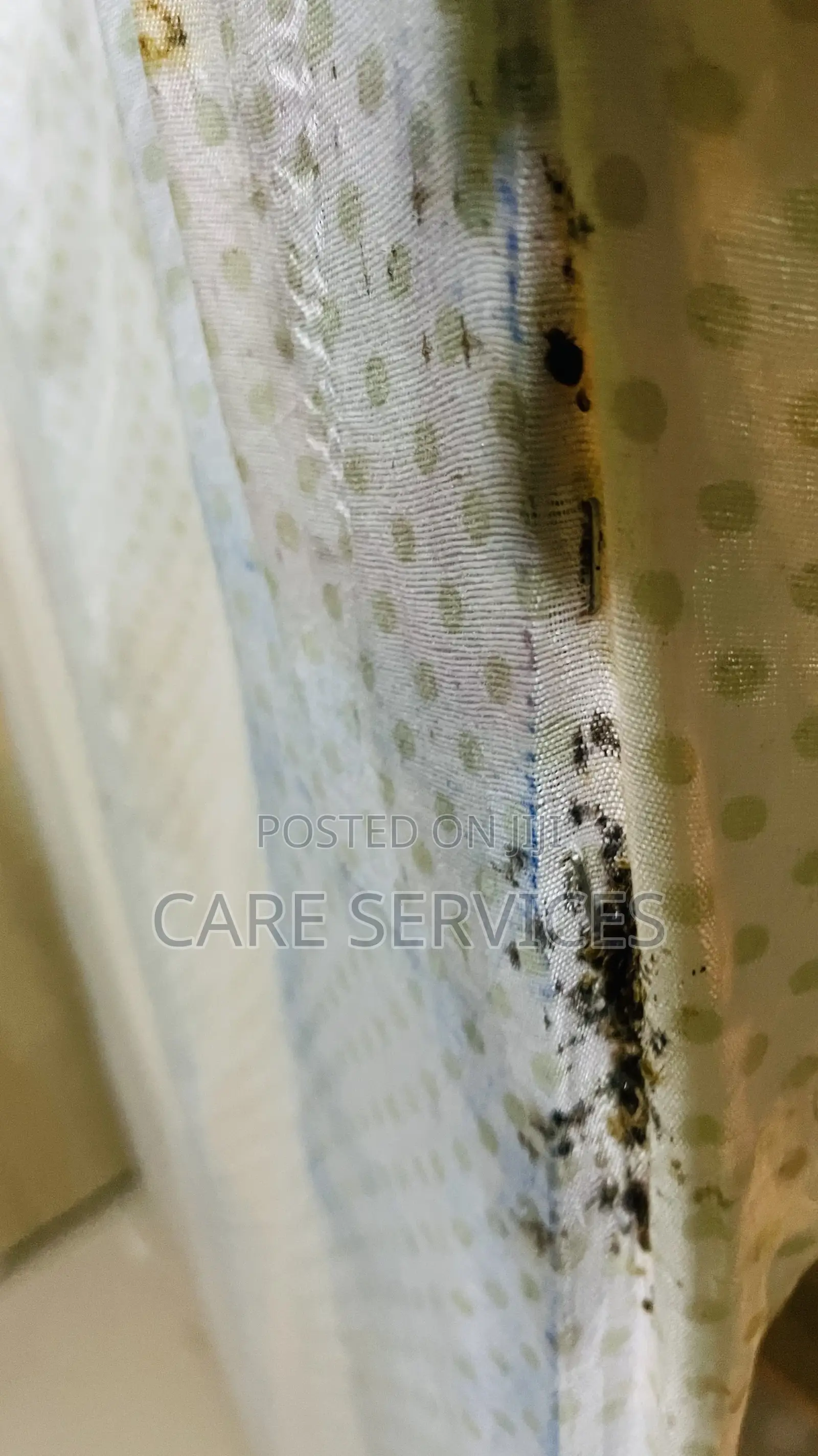 Bugs Fumigation Service