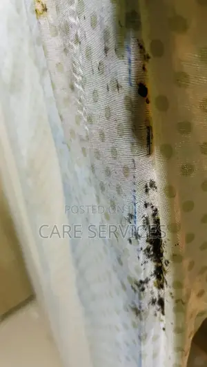 Bugs Fumigation Service