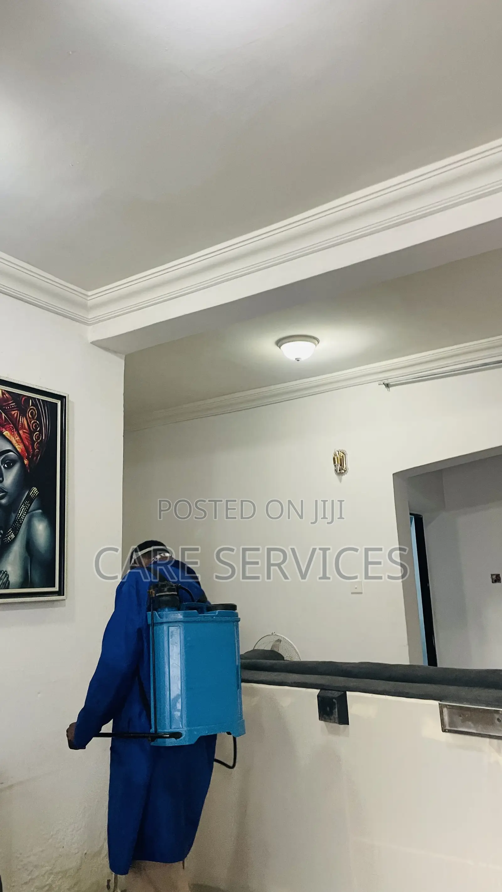 Bugs Fumigation Service