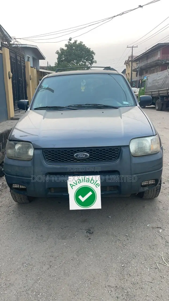 Ford Escape XLS 4x4 2004 Gray