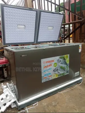 450 Liters Double Door Deep Freezer