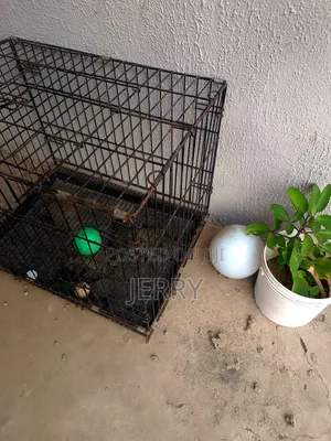 Pet and Animal Cage