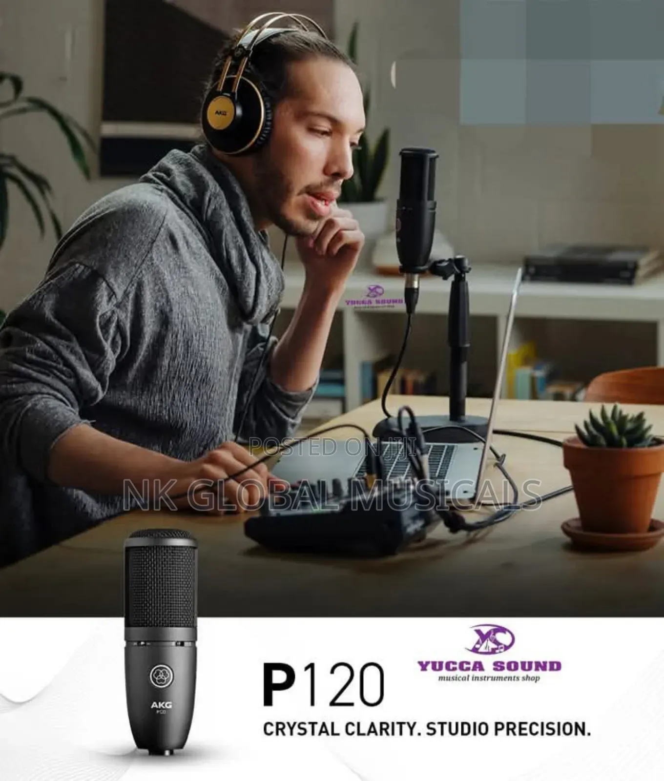 Akgp120 Studio Mic