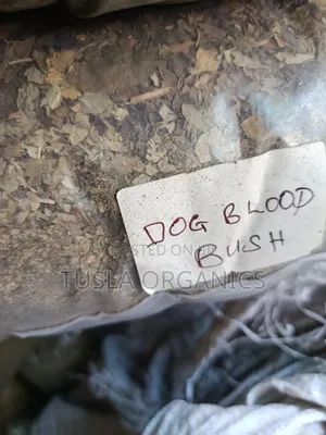 Dog Blood Bush 250g
