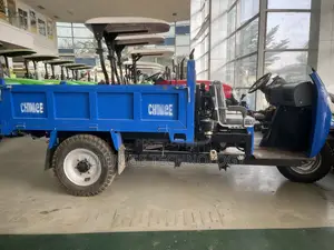 Tipping Tricycle