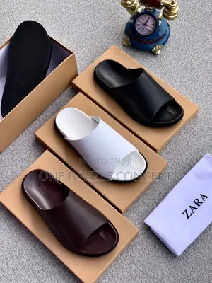 Zara Net Slides