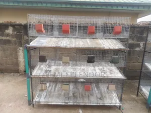 Rabbit Cage