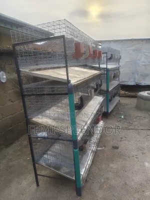 Rabbit Cage