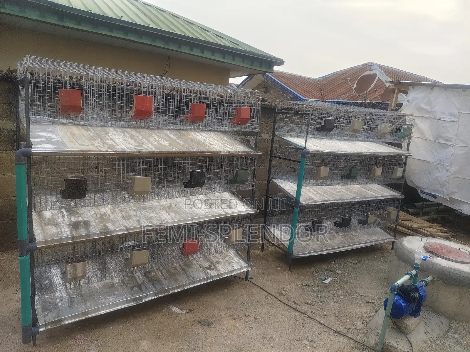 Rabbit Cage
