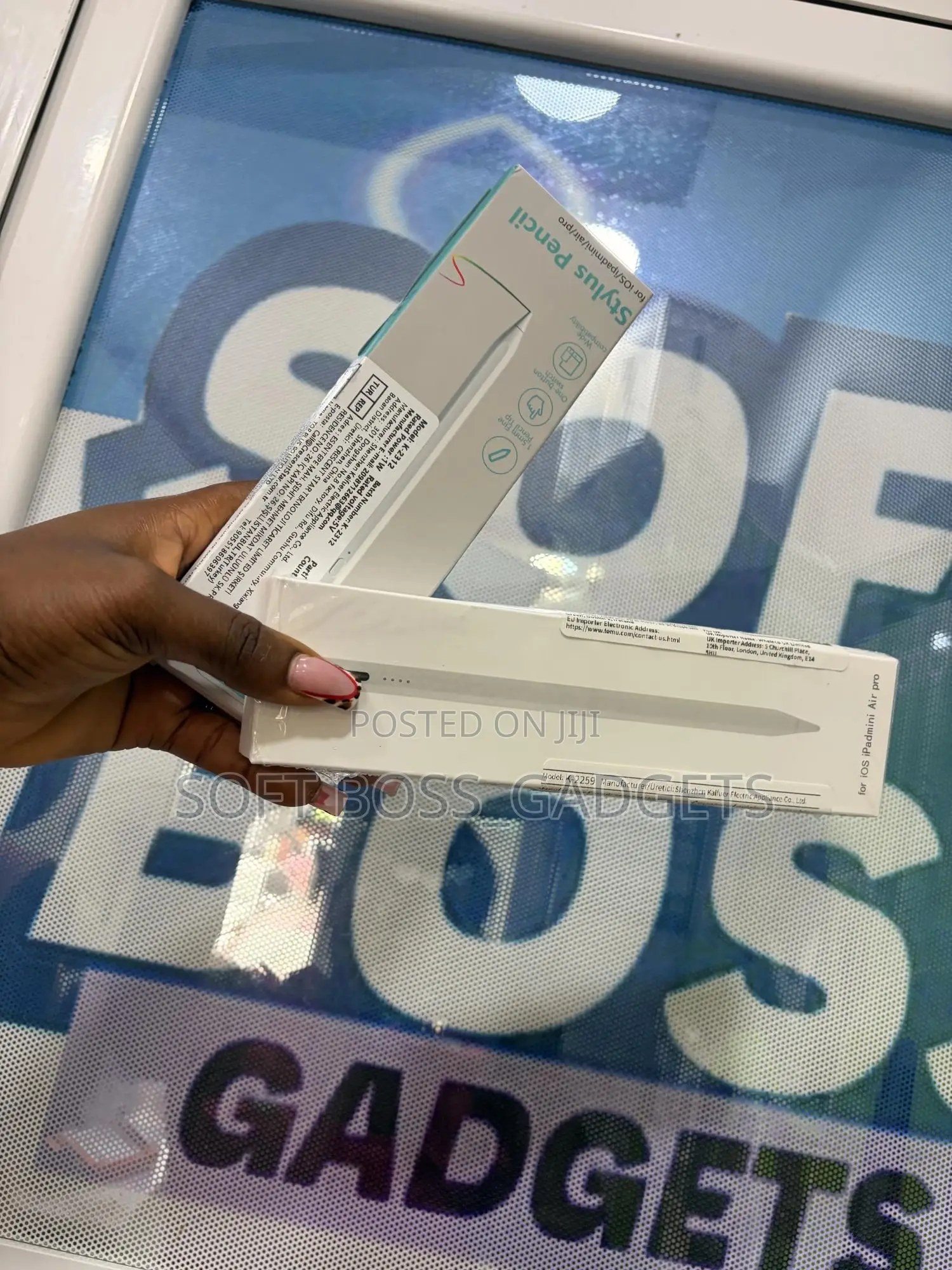 Apple iPad Pen