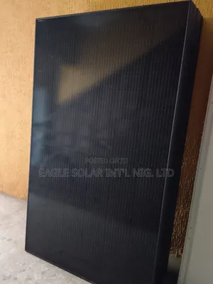 Longi Panel