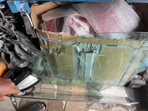 Direct Belgium Door Glass for Gle 450 W167