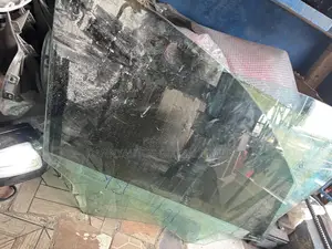 Direct Belgium Door Glass for Gle 450 W167
