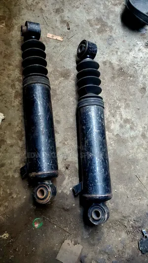Back Shock Santafe 2015 Heavy Duty