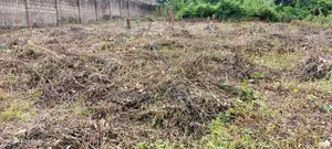 1 Plot of Land for Sell