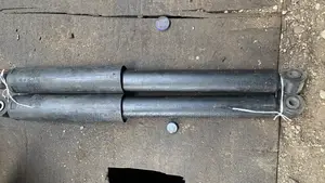 Back Shock Ford F150