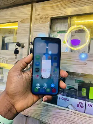 Apple iPhone 12 Pro Max 256 GB Blue