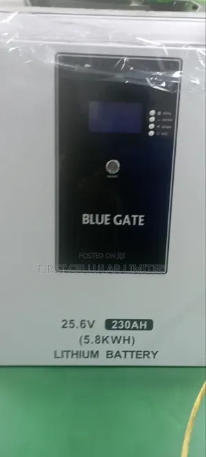 Blue Gate 5024 LFP- Lithium Battery