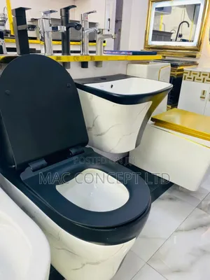 Black Line Round Wc With Sink