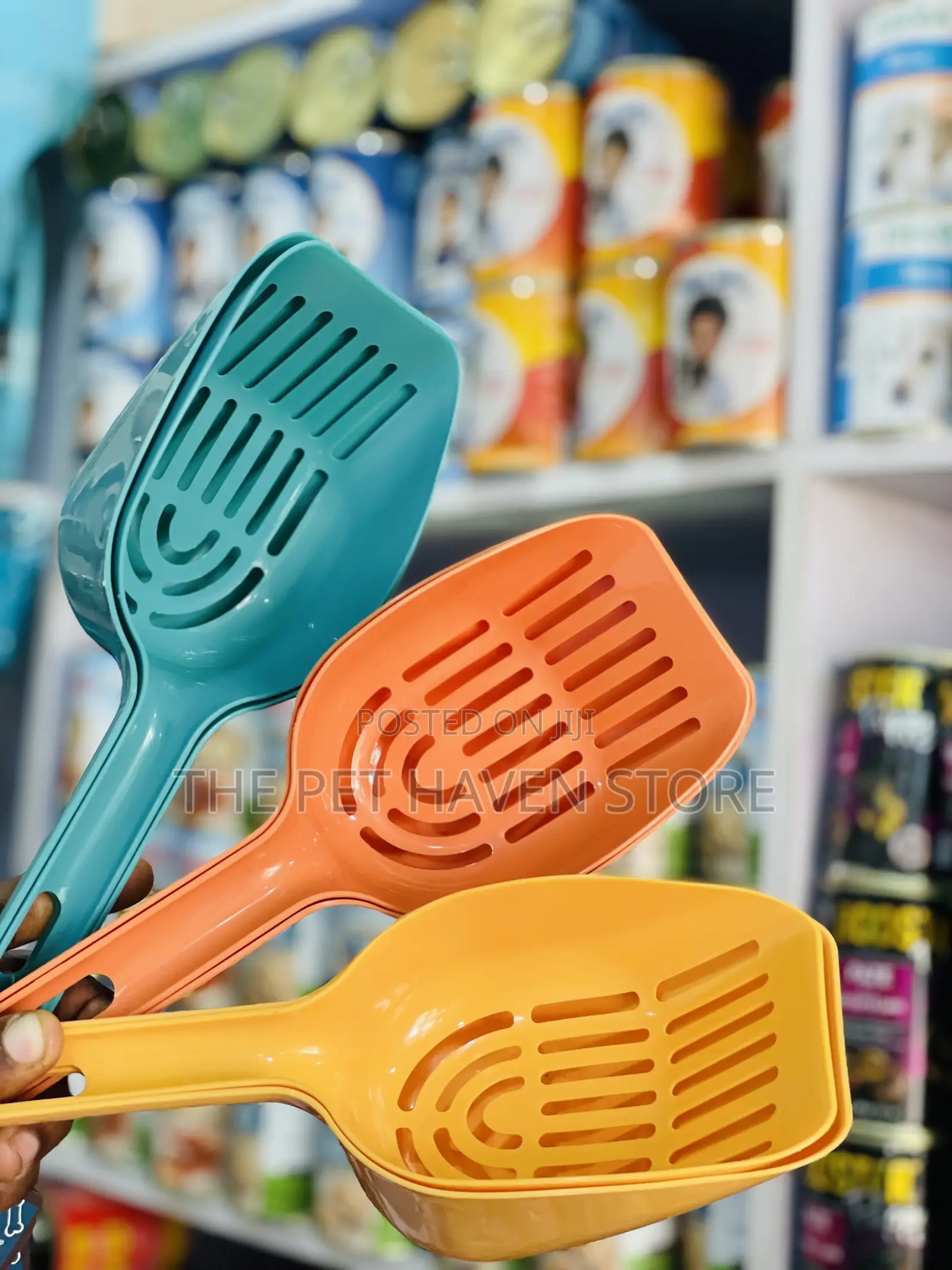 Cat Scoops