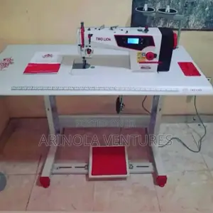 Two Lion Direct Drive Industrial Sewing Machine