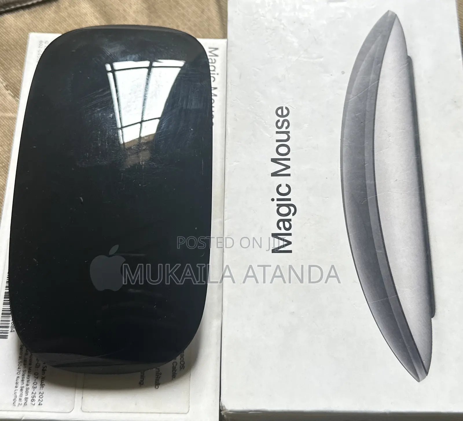 Magic Mouse